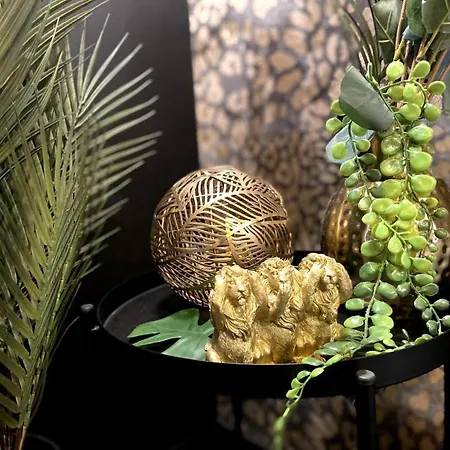 La Folie Sauvage - Romantique Avec Balneo Apartment *